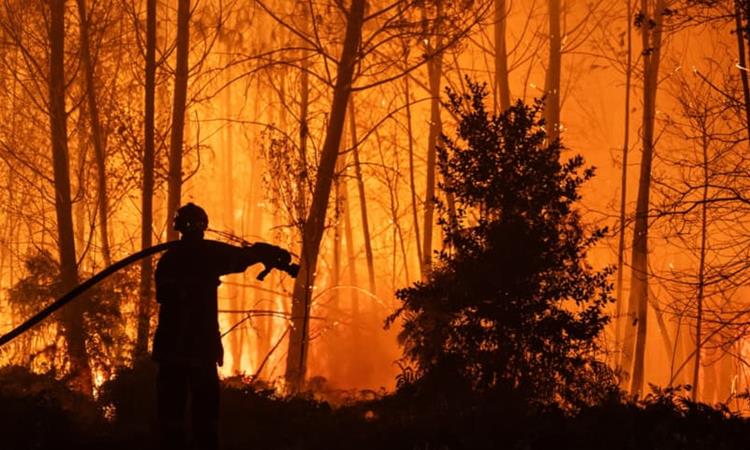 Алармантно во Франција: Огнената стихија се приближува до Бордо, Макрон свика кризен состанок (ВИДЕО)