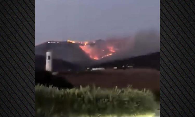 Двајца пожарникари загинаа, додека гаснеле шумски пожар на Крит (ВИДЕО)