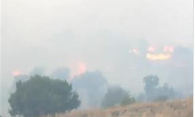 Тројца пожарникари загинаа во пожарите кои беснеат во Грција, најкритично на Крит и Пелопонез, евакуирани туристи