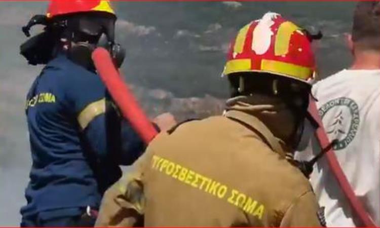 Видео: Драма во близина на Атина: Огнот голта куќи и шуми 