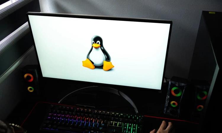 „ChatGPT“ конечно доаѓа на „Linux“