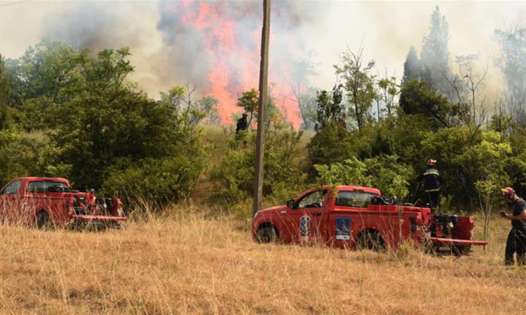Маж загина во пожар во Србија, момче кое сакало да му помогне е полесно повредено 