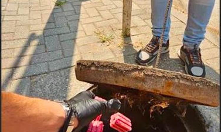 Герасимовски: Вонредна дератизација на критични локации во Центар