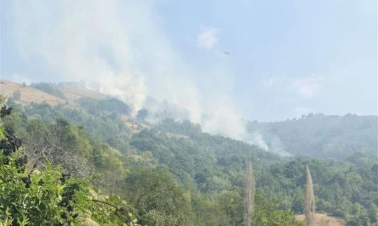 Сериозна состојбата со пожарот помеѓу Зелениково и Студеничани