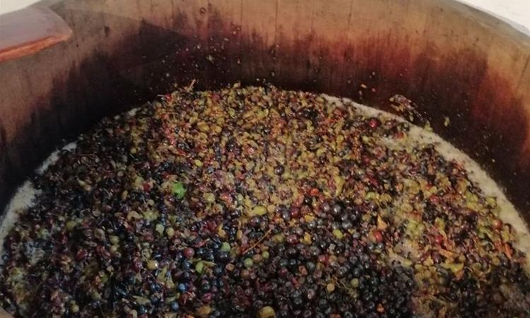Македонец загина за време на гроздобер во Италија, пропаднал во буре за мелење