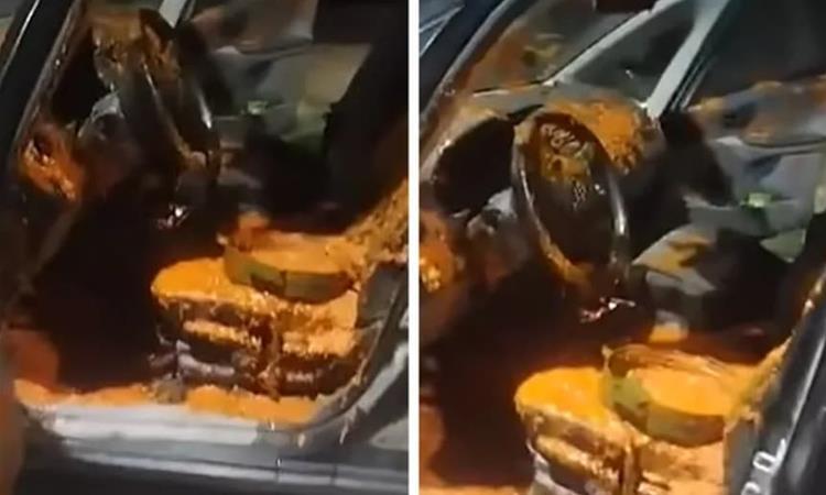 Ова никој не би посакал да му се случи- снимка од автомобил во Унгарија ги запали мрежите (ВИДЕО)