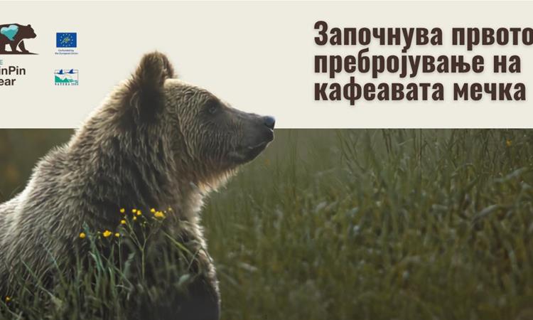 Колку мечки има во Македонија?
