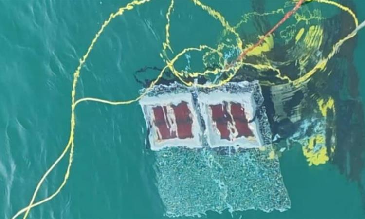 Неочекувано откритие: Соларните панели работат и на длабочина од 10 метри под морето