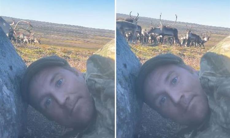 Познат фотограф се крие зад камен, додека стадо од 400 ирваси трчаат покрај него- едвај остана жив (ВИДЕО)
