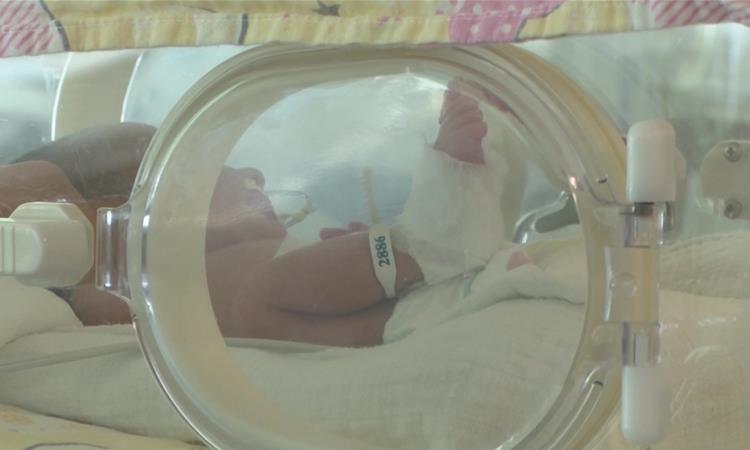 Македонија привремено ја одложи имунизацијата на БСЖ вакцината
