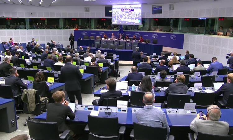 Документот за проширување на Унијата презентиран пред АФЕТ 