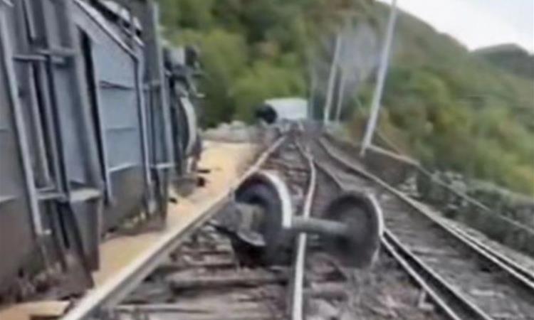Видео: Воз излета од шините кај Риека, вагоните паднале во провалија 