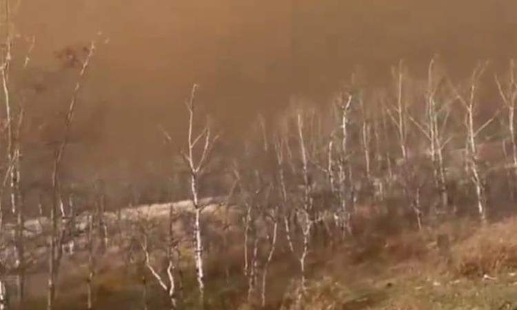 Најмалку седум загинати и десетици повредени во експлозија во канадска воена база