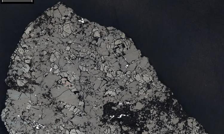 Марсовскиот метеорит, пронајден во Сахара е стар 4,1 милијарди години: Ова е камен од Розетата за Црвената планета 