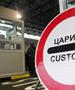 Царинска управа: на Богородица спречен шверц на заштитени видови змии 