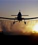 Куманово избира економски оператор за авионско прскање против комарци