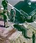 Ужас на Флорида: Алигатор влече безживотно тело на маж по улица (Вознемирувачко видео) 