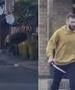14- годишно момче загина во нападот со нож во Лондон, убиецот одел од куќа до куќа (ВИДЕО)