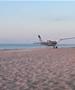Шок на плажа во САД: Луѓе мирно се шетаат, кога пред нив принудно слета авион (ВИДЕО)