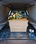 Морбидно: Жена украла погребално возило заедно со покојникот, го оставила на необично место
