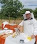 Триесет семејства од државава добија пчели и пчеларска опрема, донација од ТИКА