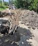 Јанчев: Фекална канализација со комплетно нови шахти во село Бохула