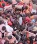 Вознемирувачко видео: Во стампедо на верскиот фестивал во Индија загинаа 121 лице