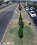 За излез од Македонија на Богородица и Дојран се чека три часа
