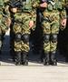 Политико: ЕУ има пет години да се подготви за војна