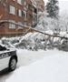 Дрво под тежина на снегот падна во Сараево и уби мајка на две деца