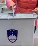 Словенците денес на четири референдуми