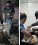Клиника од пеколот во Бразил: Купишта лекови со поминат рок, животни пред умирање, кеси со фетуси... (ВИДЕО)