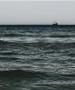 Фото: Што исфрли Црното море, страшната глетка видена во Одеса и во Бугарија и Романија 