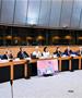Собранието ја зајакнува соработката со Европскиот парламент преку размена на искуства 