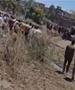 Хорор во Египет: Девет деца загинаа кога минибус падна во канал (ВИДЕО)