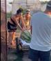 Видео: Чудо во Унгарија: Лубеница тешка 84 килограми