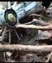 Видео: Седум загинати во хеликоптерска несреќа во Кенија