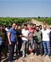 Филипче од Тиквешко: Понижувачки се откупните цени на грозјето – СДСМ со закон ќе бара 5 денари повеќе за секој килограм