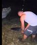 Видео: На Неретва уловен сом од скоро два метри