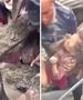 Седумгодишно девојче преживеа четири дена затрупана во калта на Непал (ВИДЕО)