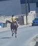 Скопје или див запад? (ВИДЕО)