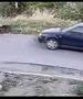 Вознемирувачко видео: Возач во Пробиштип прегази кучиња покрај патот
