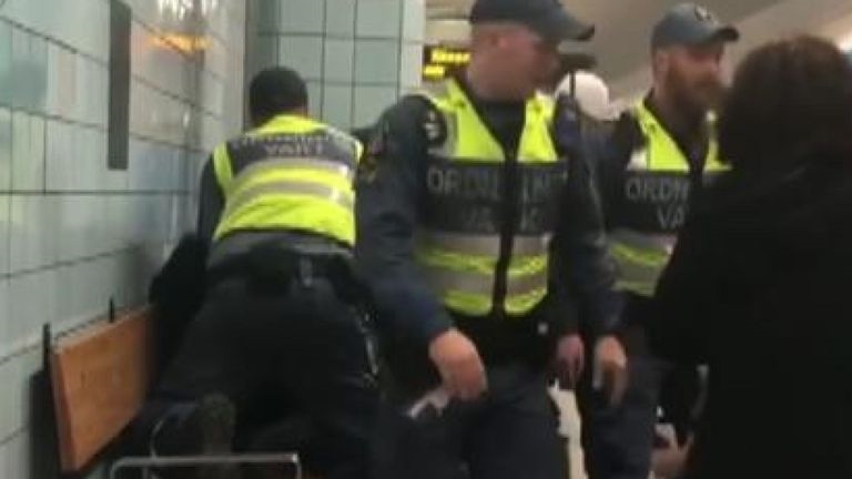 Од воз во Шведска полицијата исфрли бремена жена (ВИДЕО)
