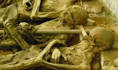 Вандали отсекле глава на мумија на крстоносец и ја украле 