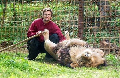 Чех настрадал од лав- домашен миленик 