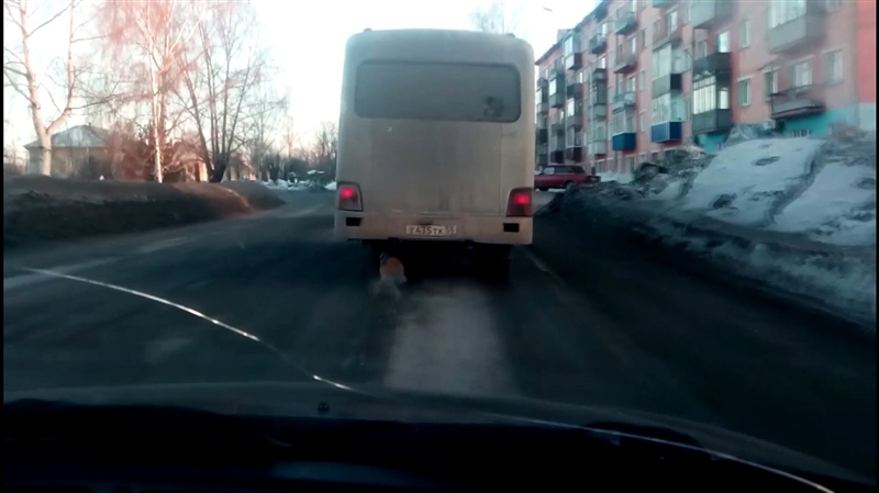Минибус останал без тркало и добил дрвена ,,протеза” (ВИДЕО)