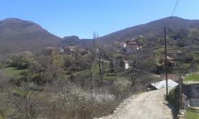 Во Луковица се справуваат со природата, ама не и со општеството