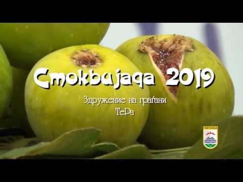 Прогласени победниците на гевгелиската Смоквијада