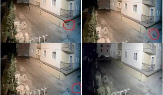 Видео: Куче го предосети земјотресот, се разбуди и побегна!!!