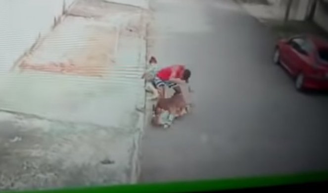 Видео: Момче со голи раце спаси дете од пит бул